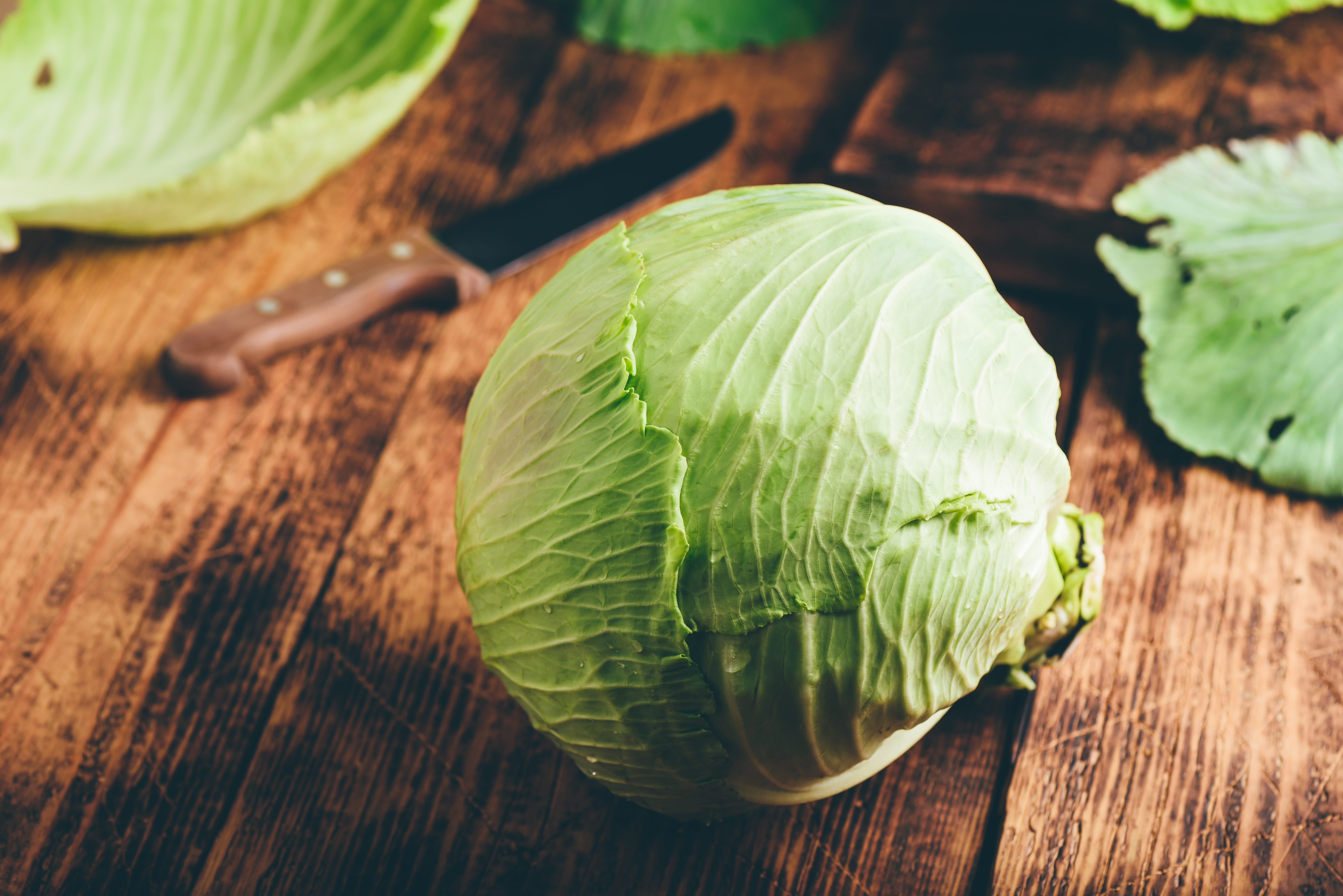 Cabbage