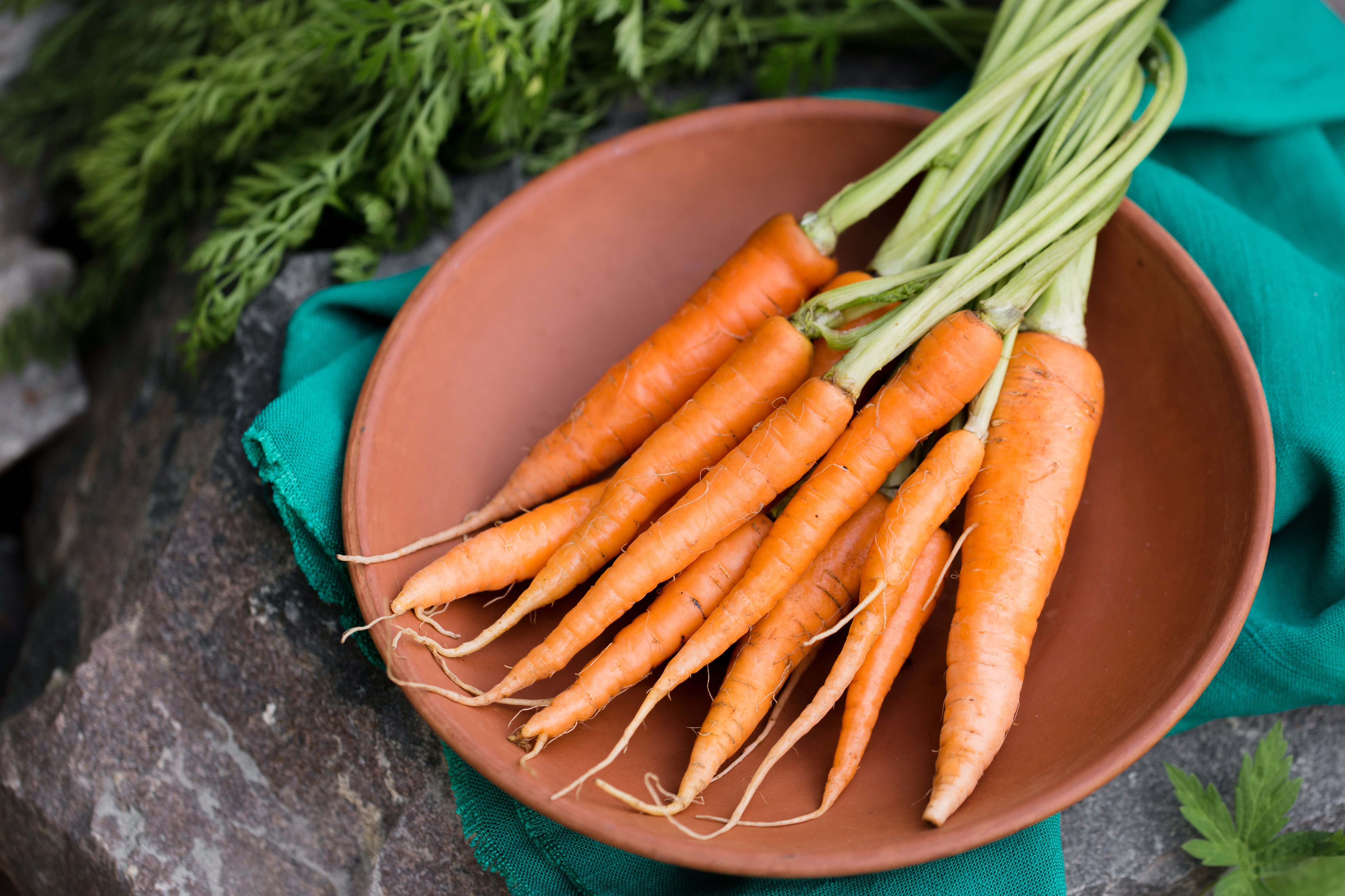 Carrots