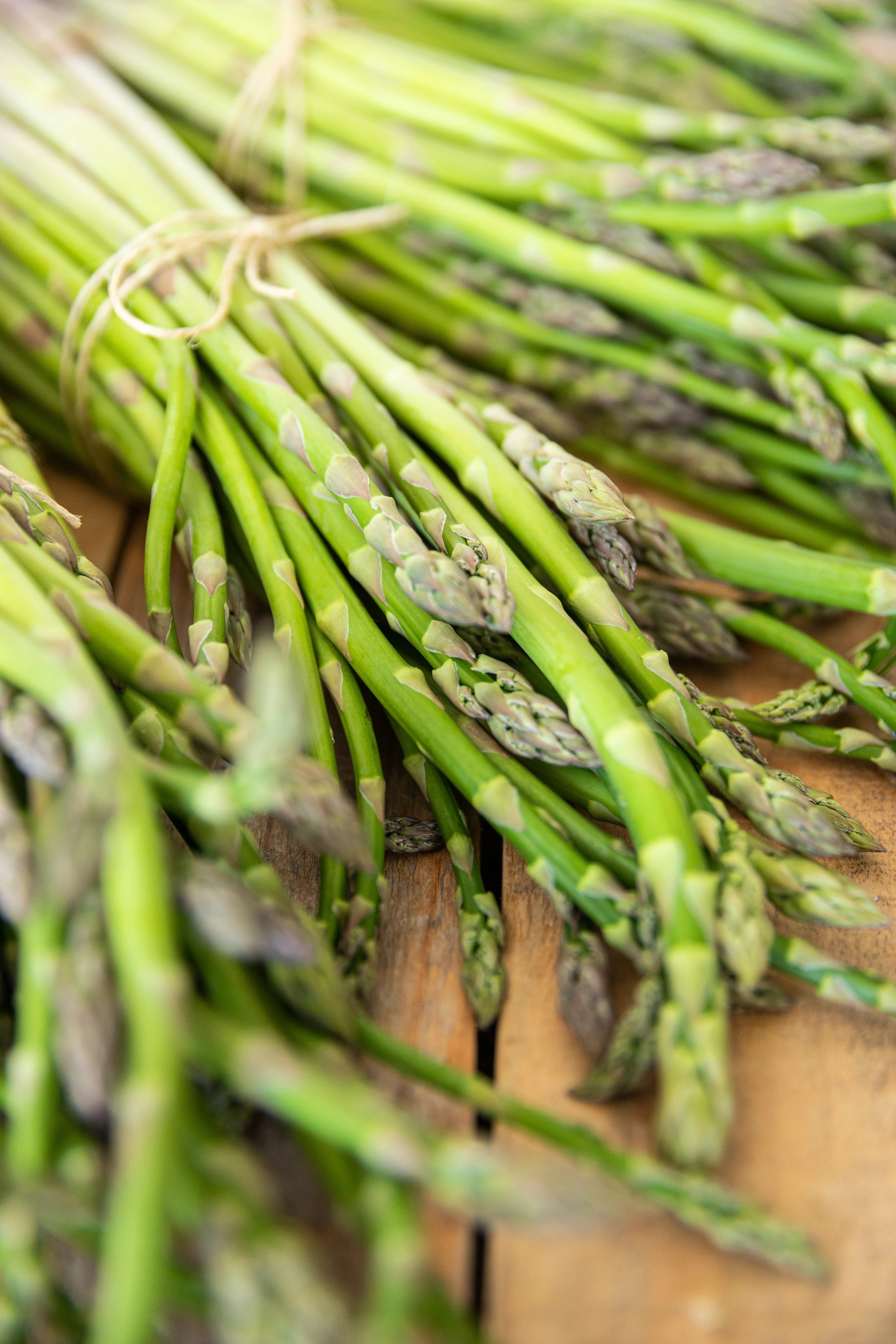 Asparagus