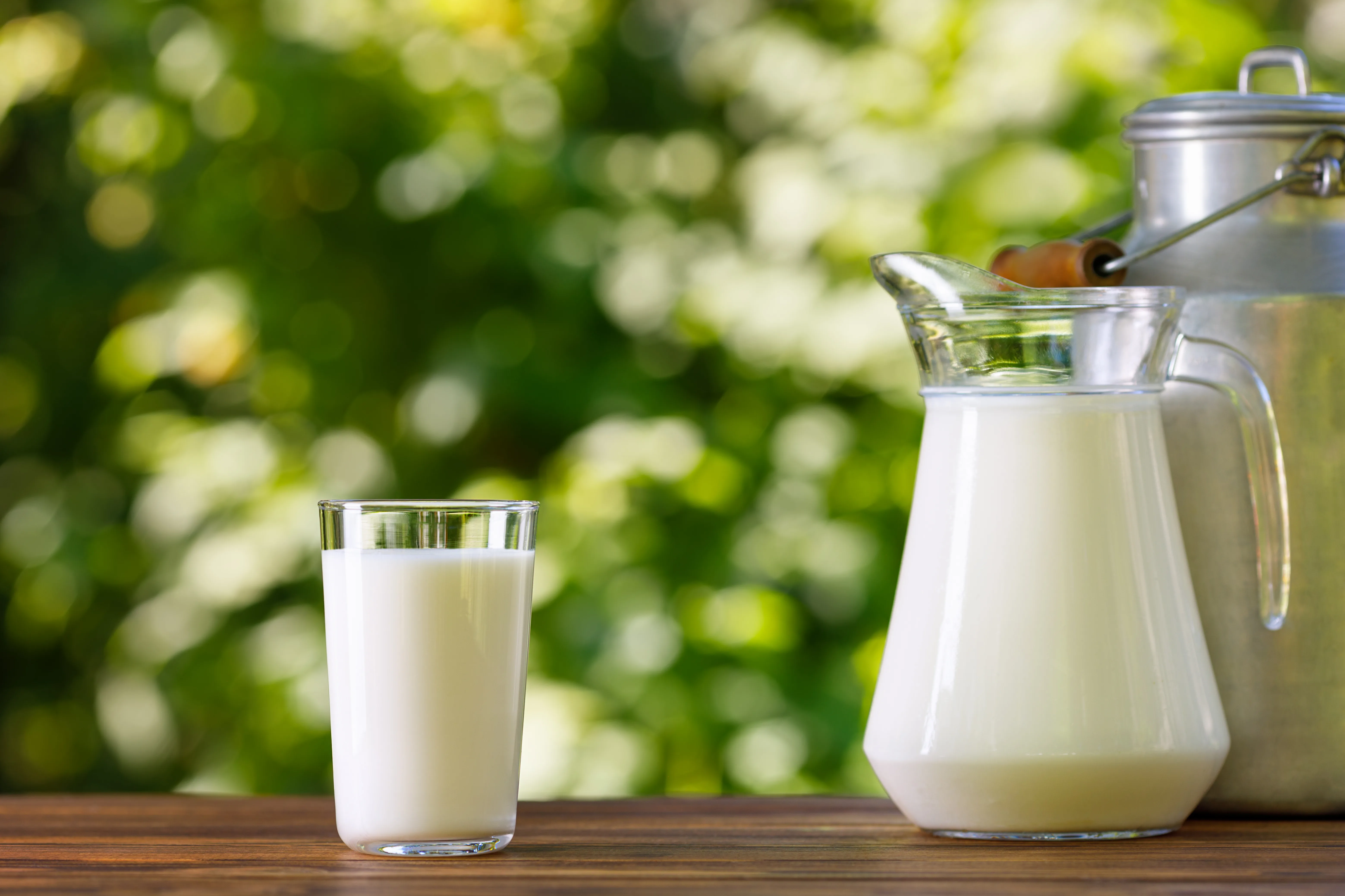 Milk
