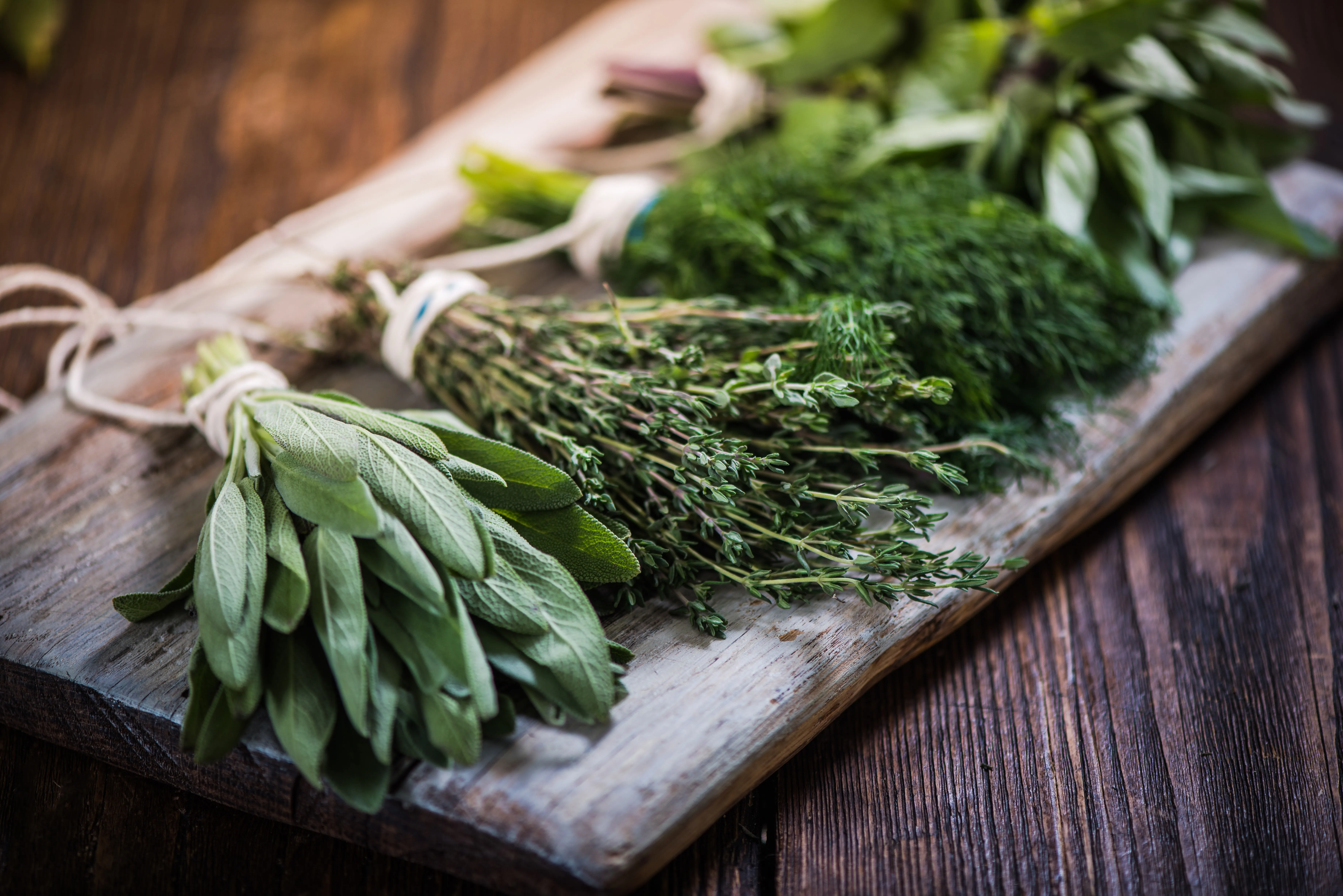 Herbs